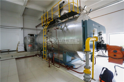 200萬大卡燃生物質(zhì)導熱油爐得多少錢