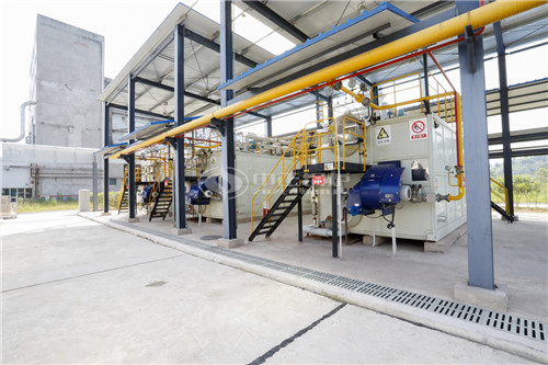 10噸燃生物質(zhì)導(dǎo)熱油爐性?xún)r(jià)比怎么樣