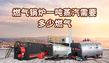 燃煤鍋爐型號(hào)