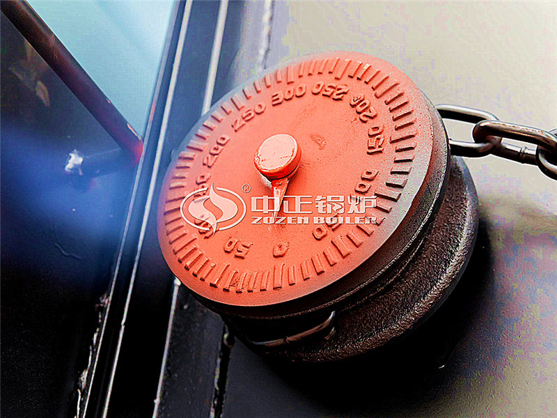 8噸燃氣導(dǎo)熱油鍋爐價格貴嗎