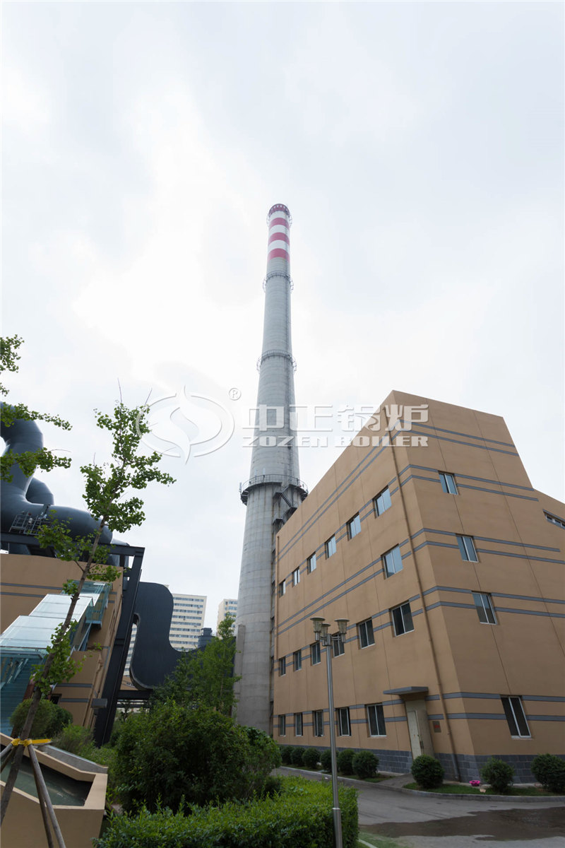 20T燃生物質(zhì)導熱油爐多少萬元買到
