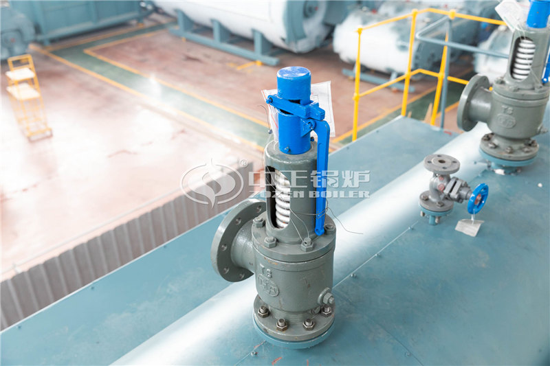 2000萬大卡燃生物質(zhì)導熱油爐公司