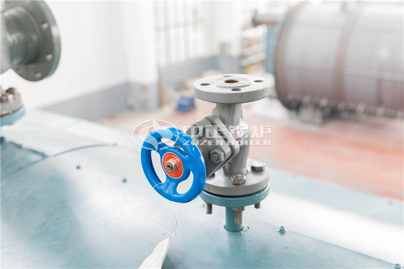 4噸燃生物質(zhì)導熱油鍋爐價格貴嗎