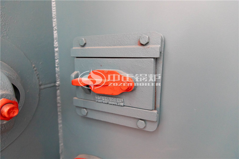 10T燃生物質(zhì)導熱油鍋爐大廠